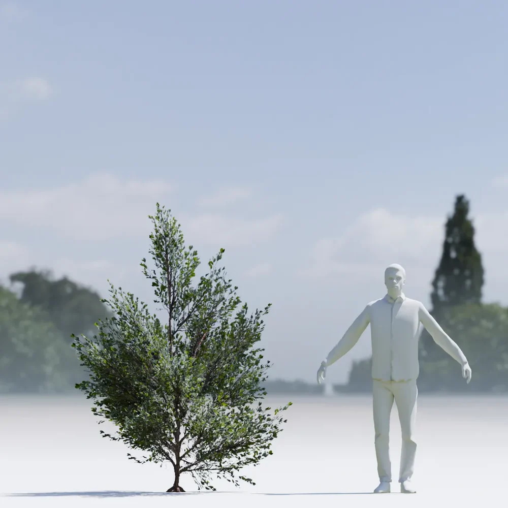 Bush Lowpoly Animated