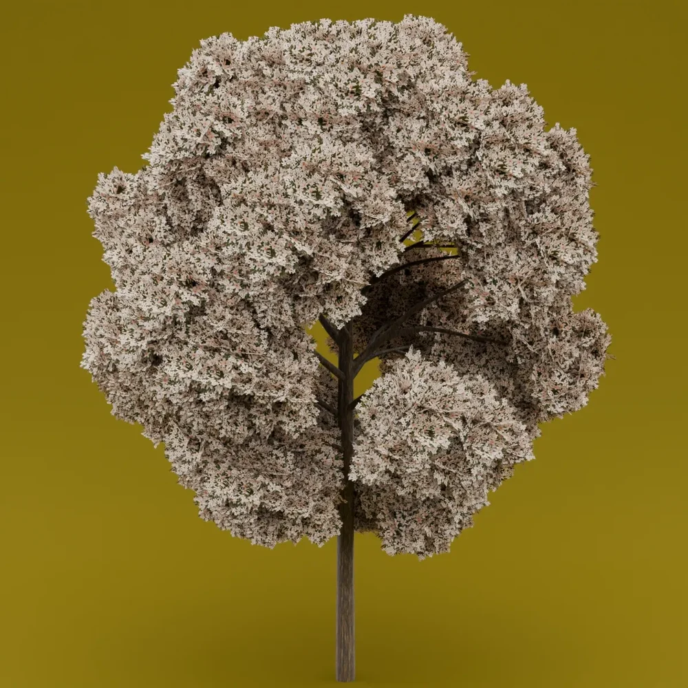 White Flowered-Light Green Leaved Tree