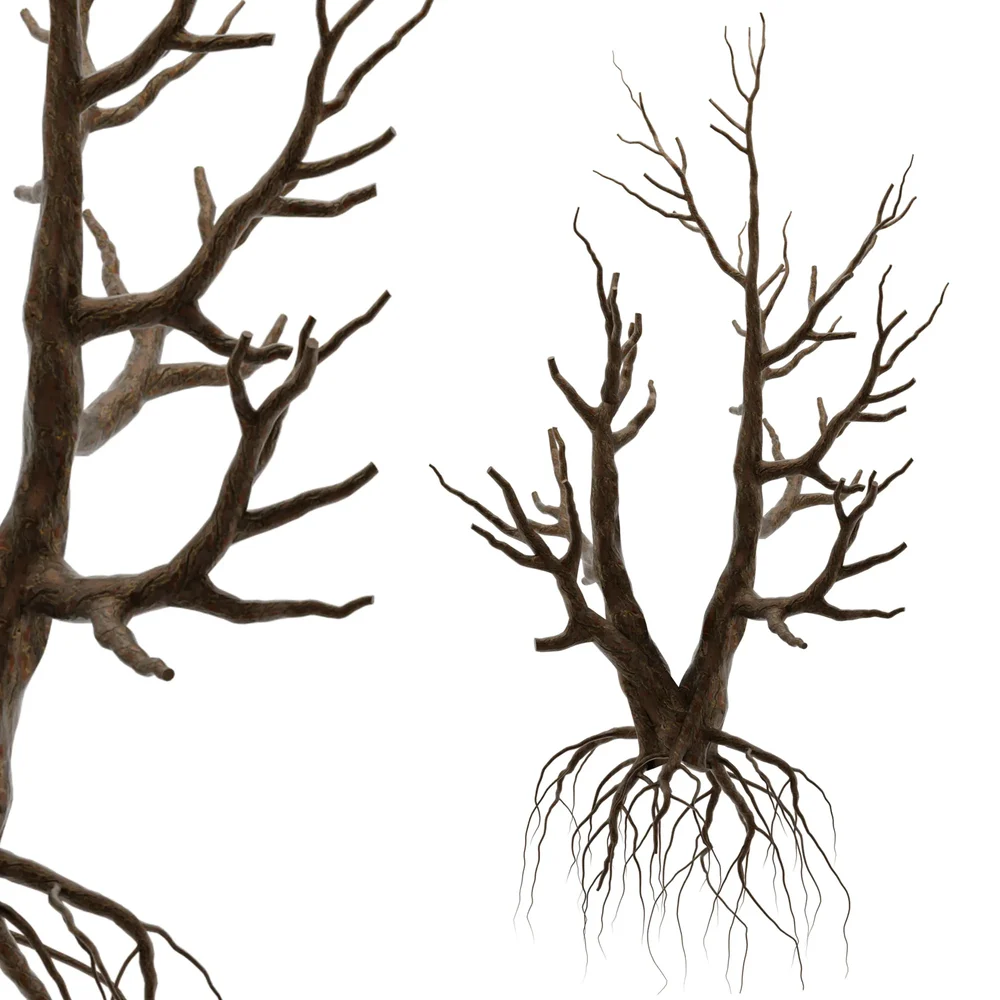 Dry Tree