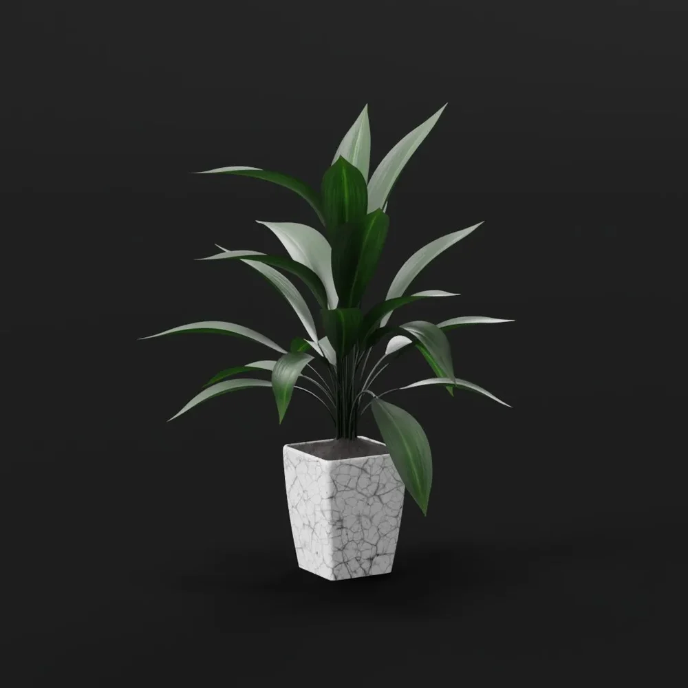 Marble Leaf Accent Plant