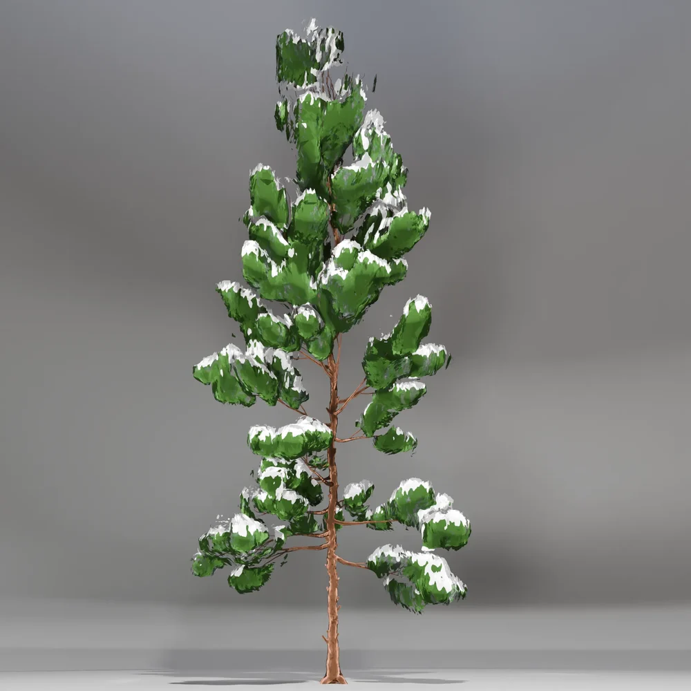 Snow Pine Toon Tree