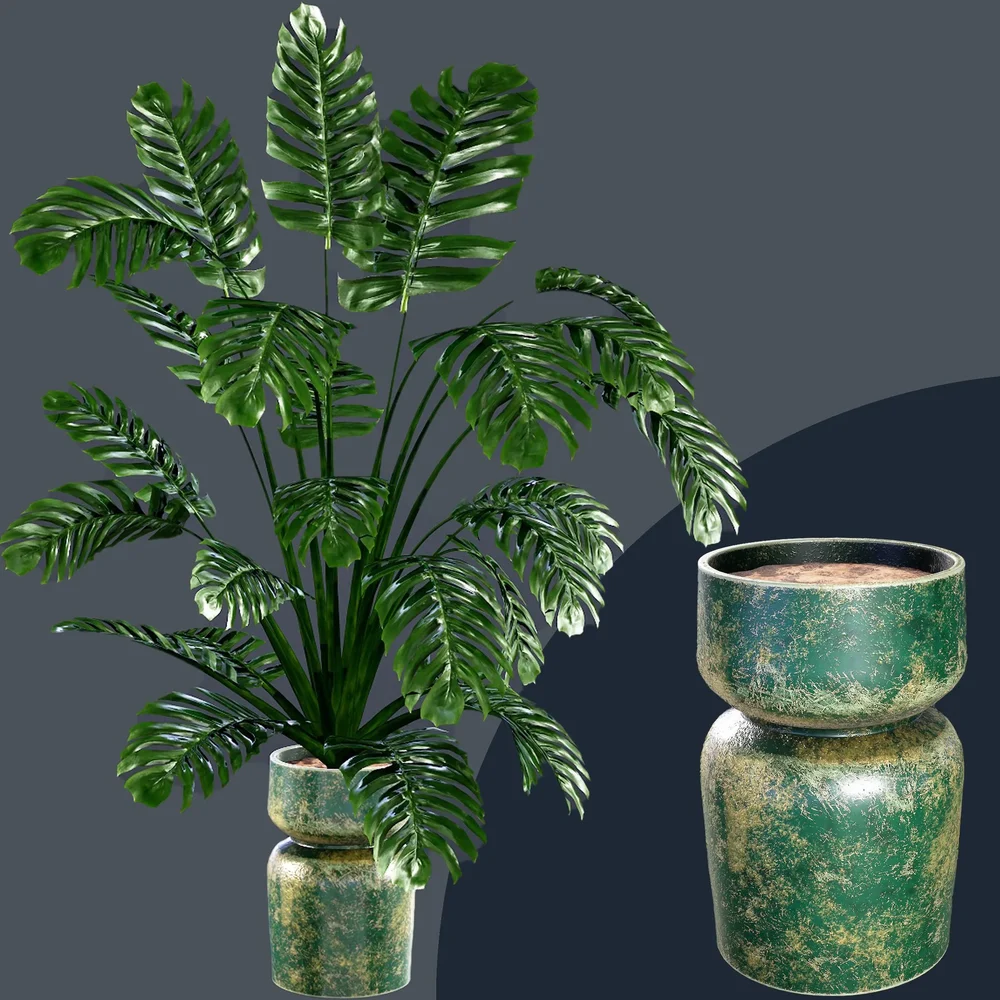 Sj-Monstera 10