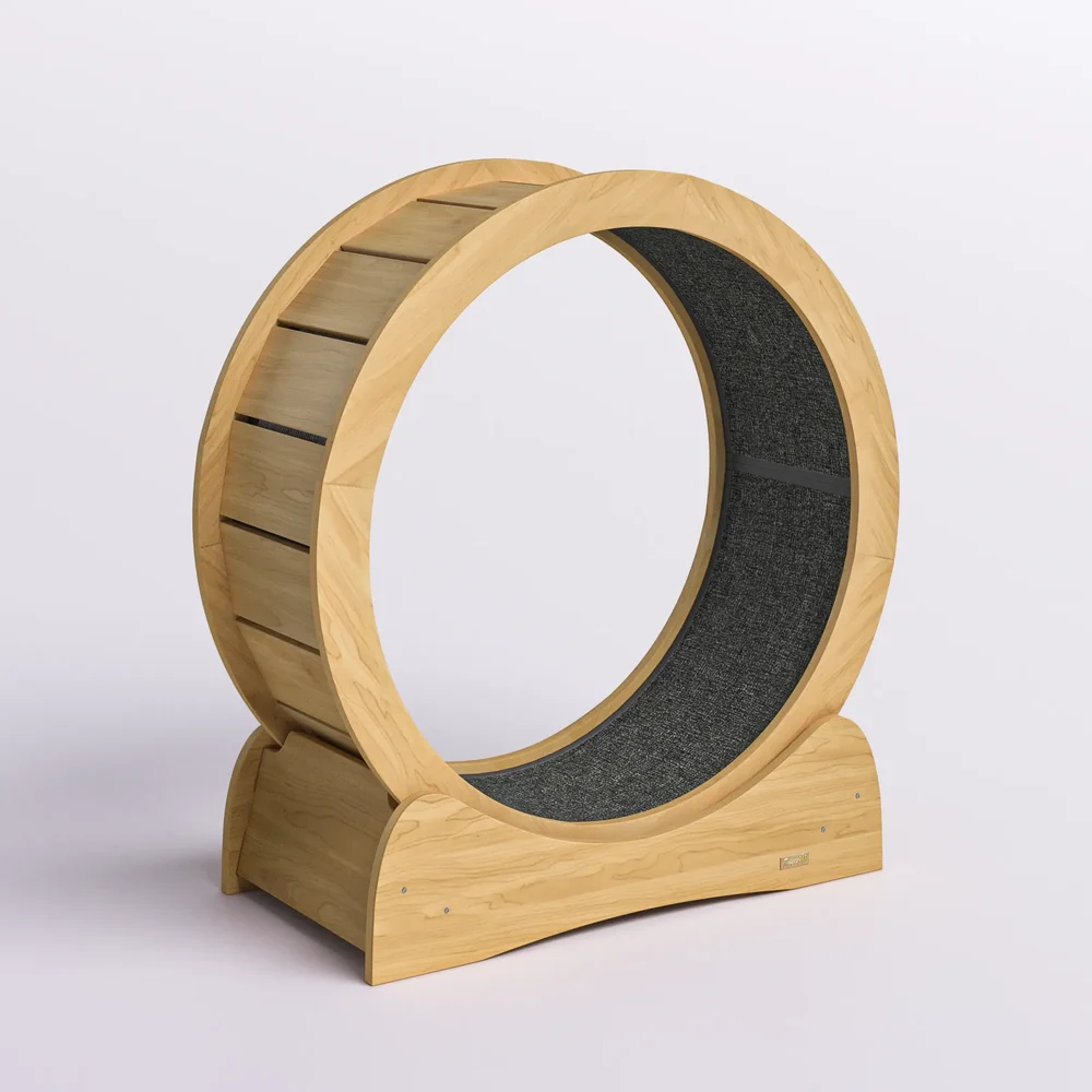 Cat Wheel