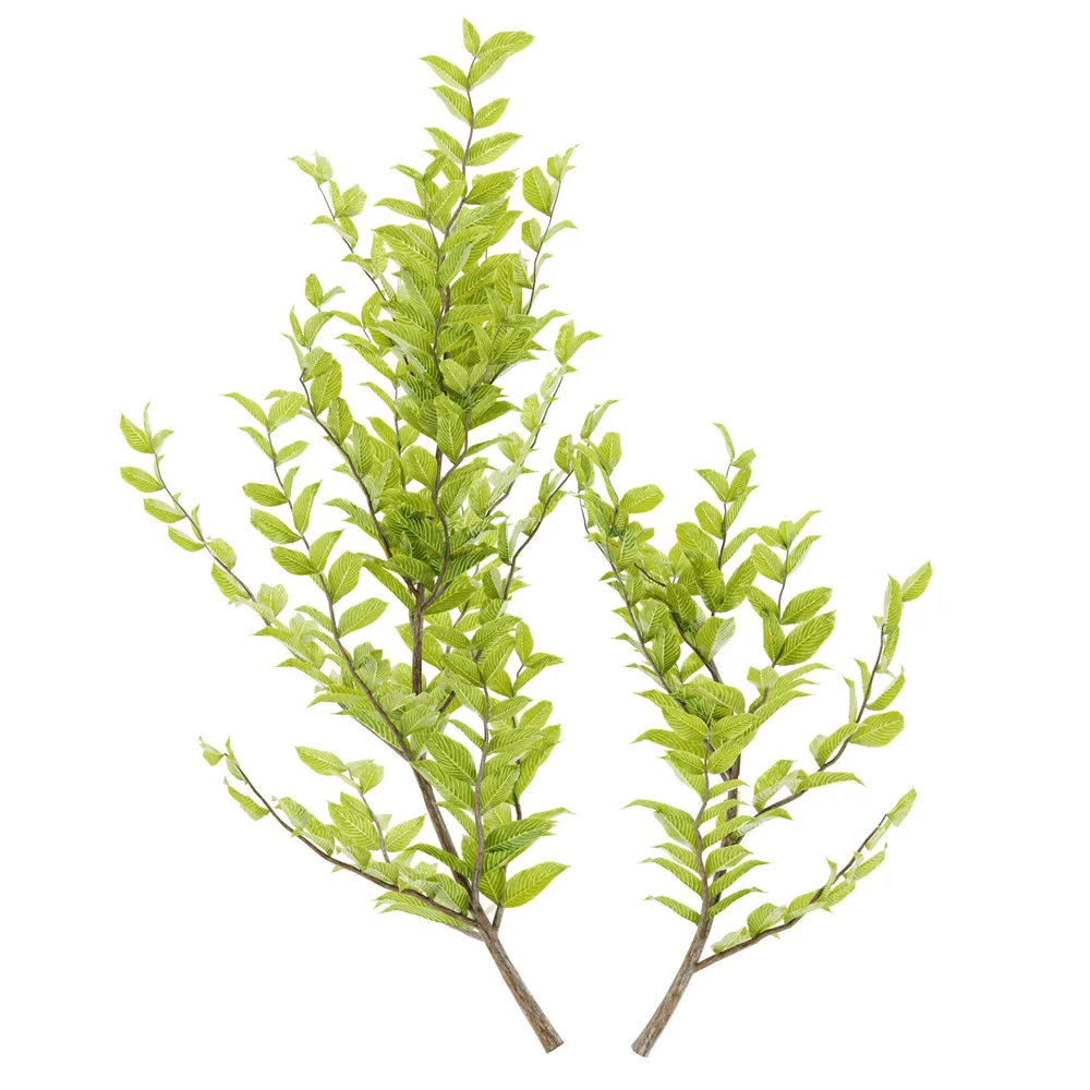 Simple Bush Plant