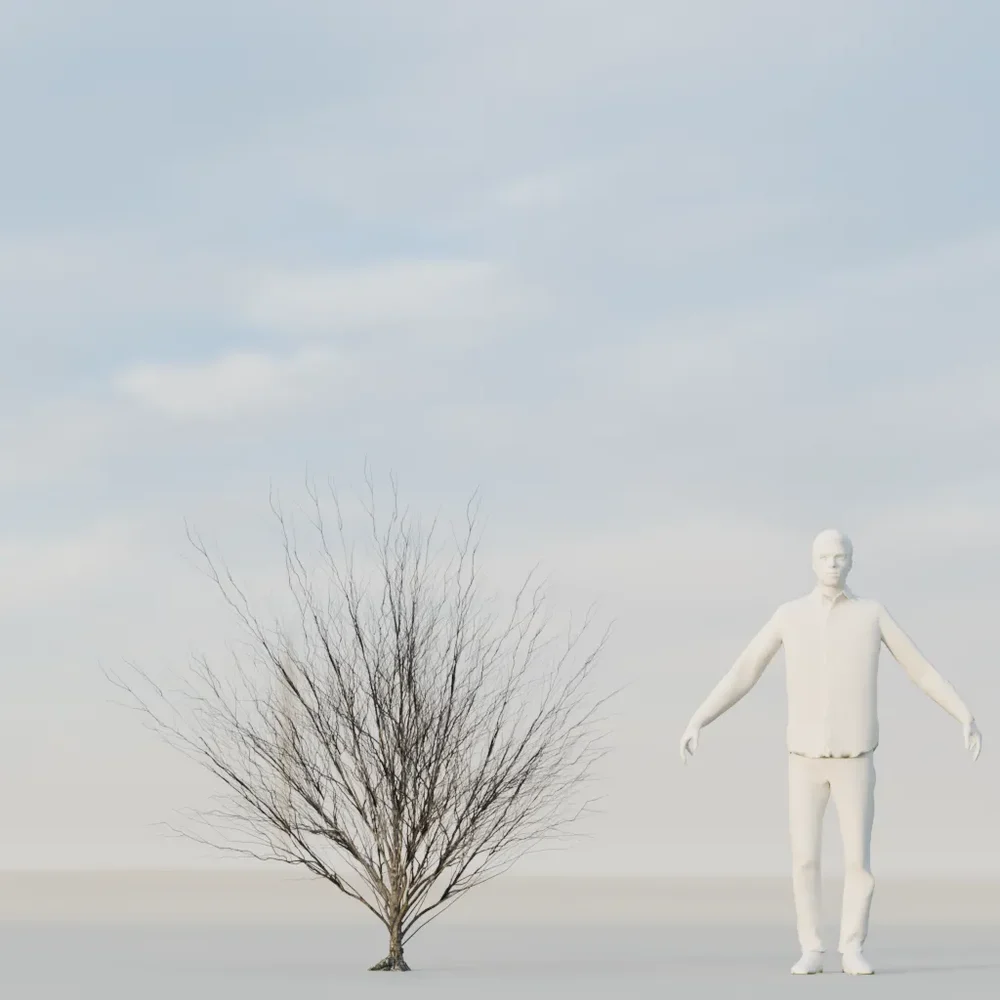 Dry Bush Low Poly