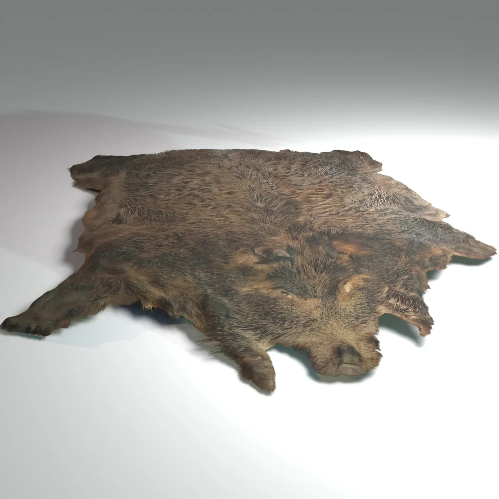Boar Pelt Displaced