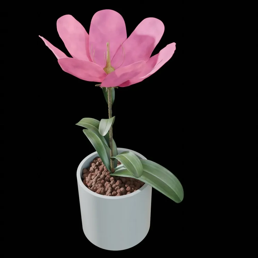 Flower Pot