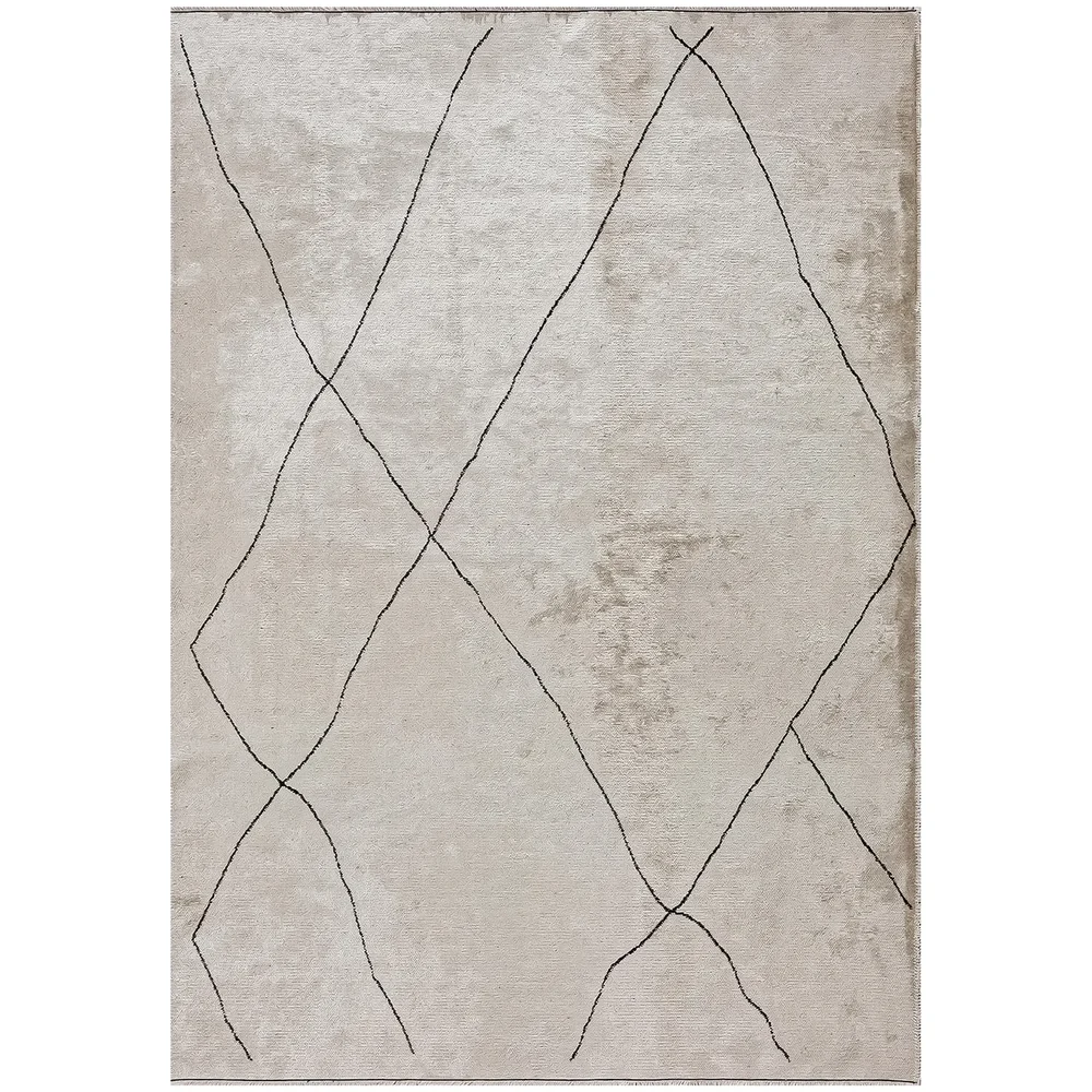 Bohemian Gray Carpet