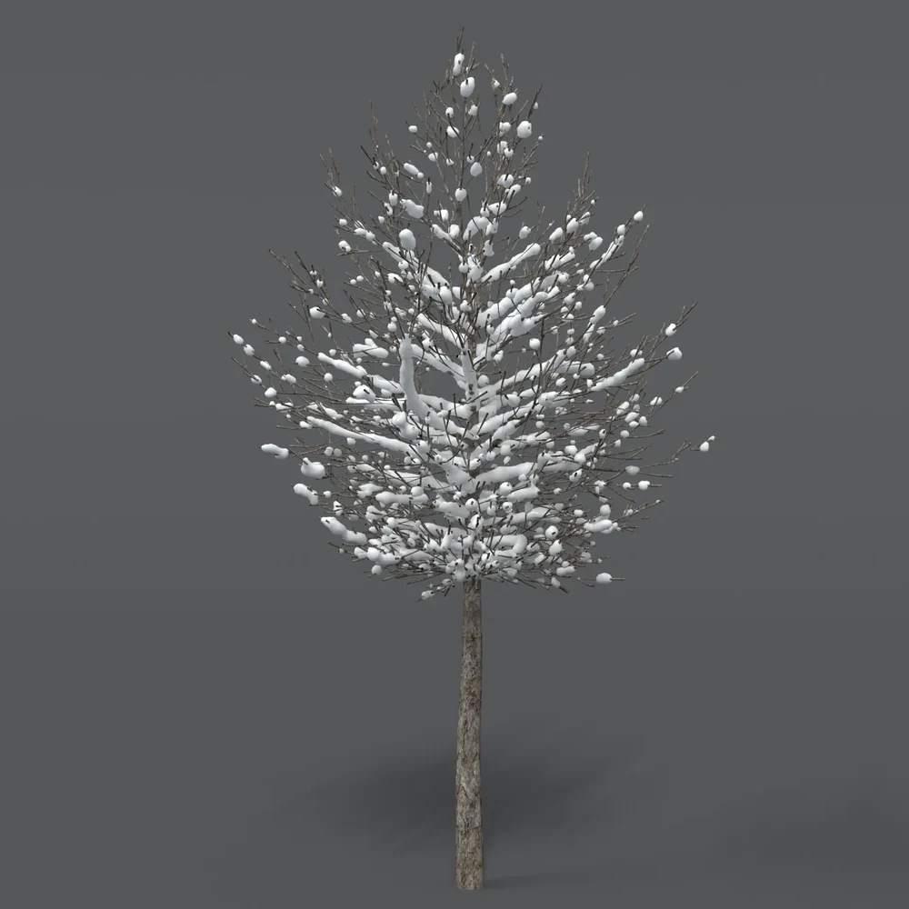 Tree With Snow