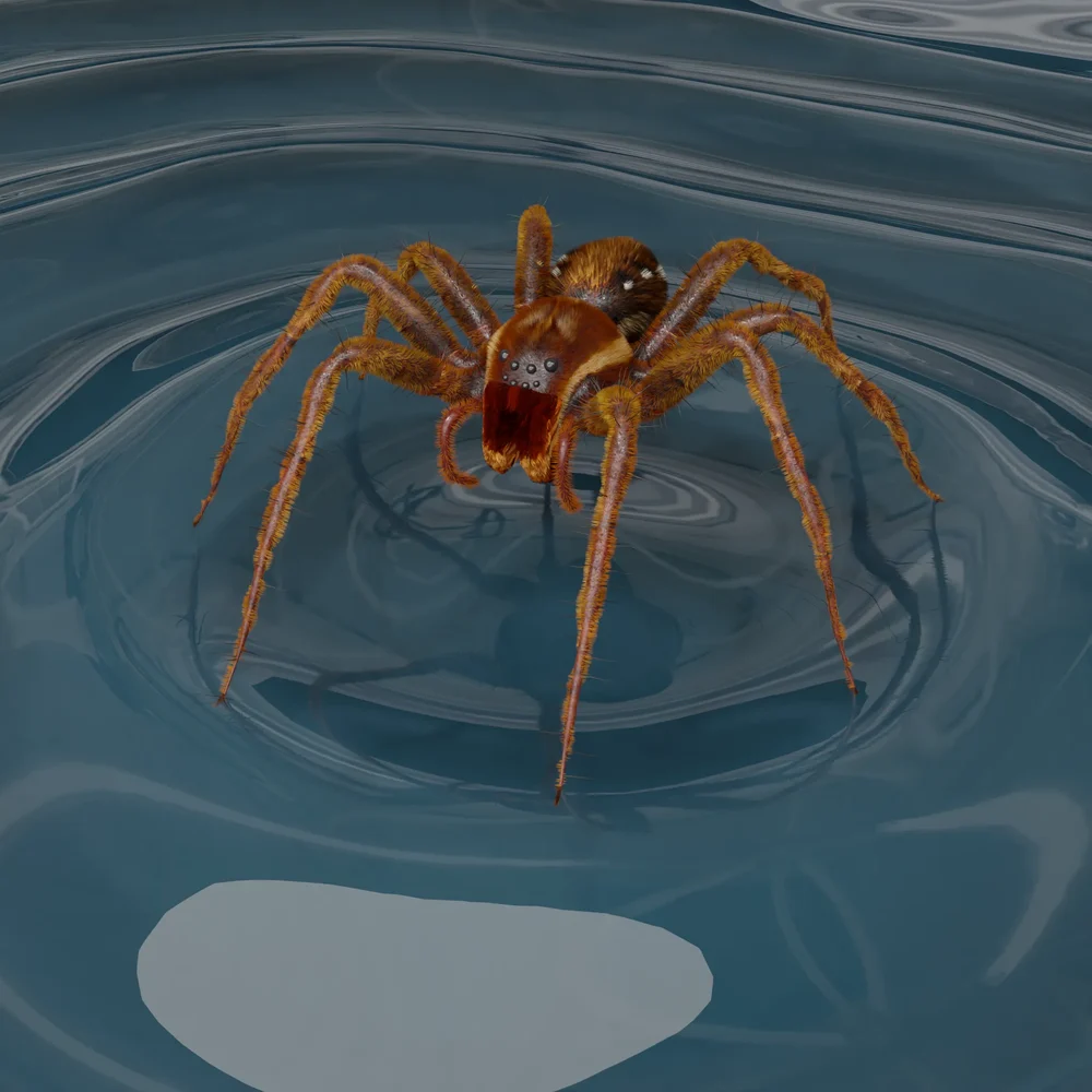 Fishing Spider Iii