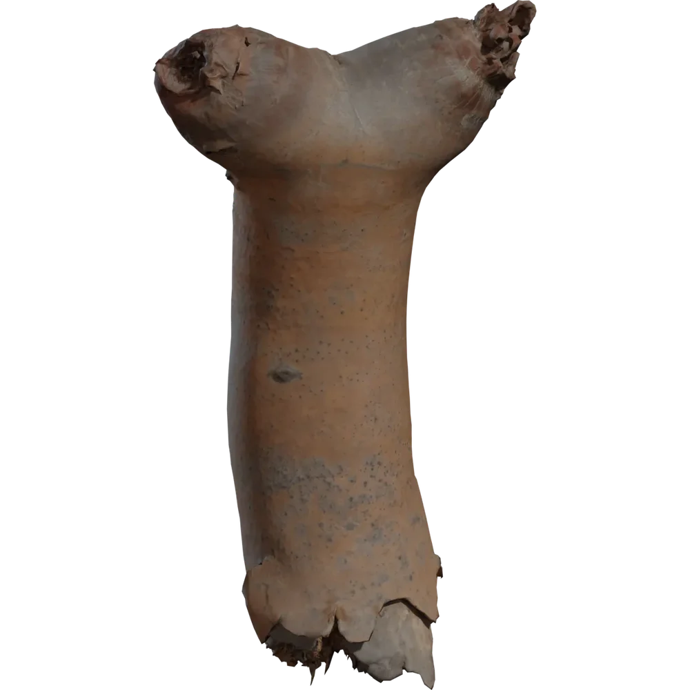 Dead Quiver Branch 02