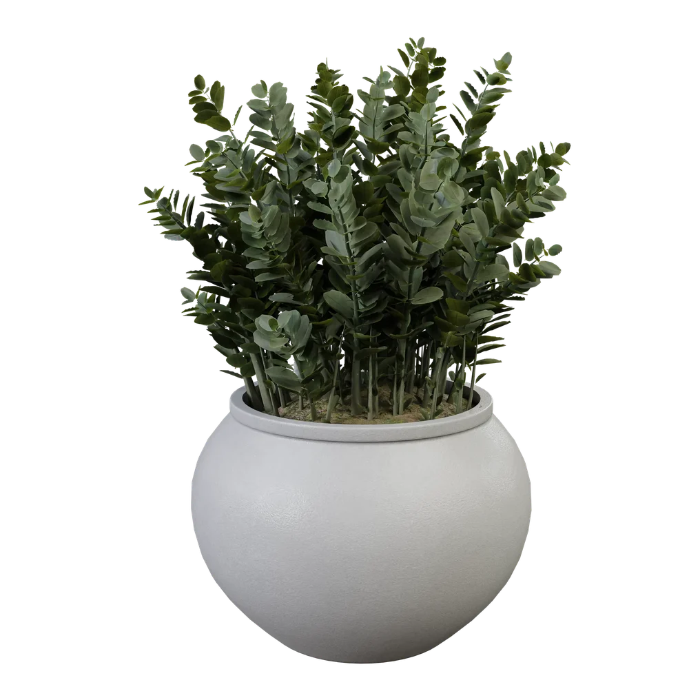 Plant Indoor B