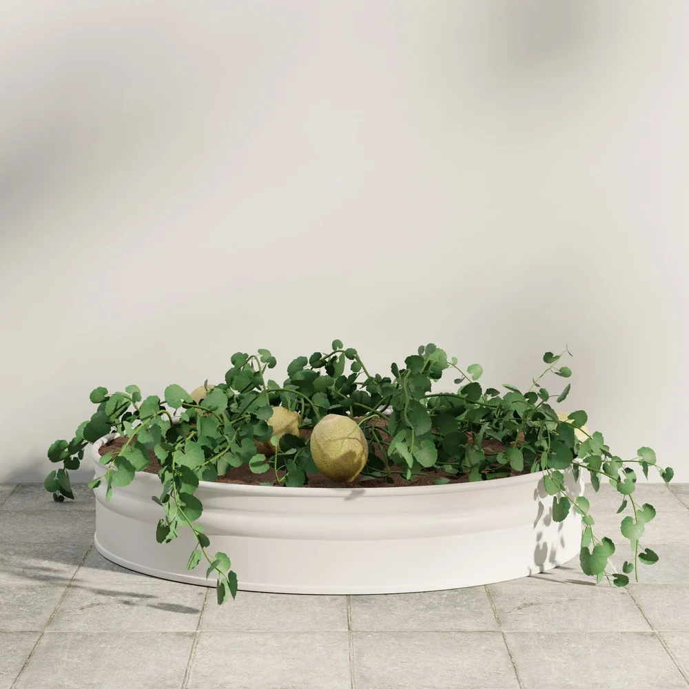 Cantaloupe Garden Planter