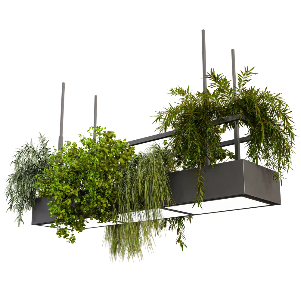 Pendant Light With Plants D