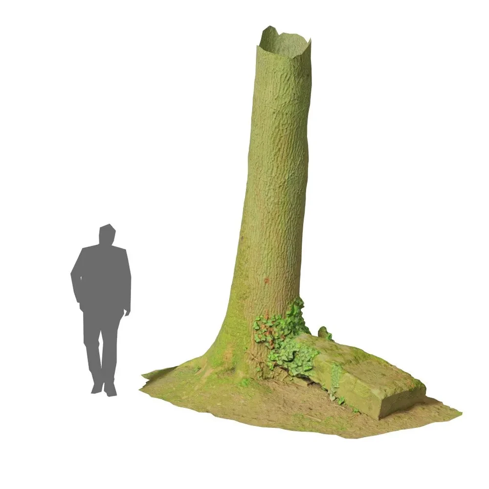 Oak Tree Gravestone Pbr Scan