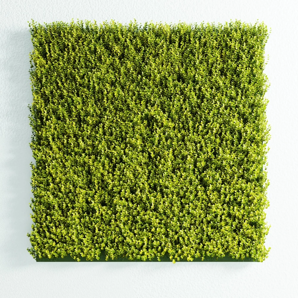 Artifical Wall Panel Buxus