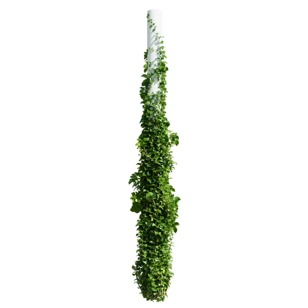 Plants Hanging On Pillars