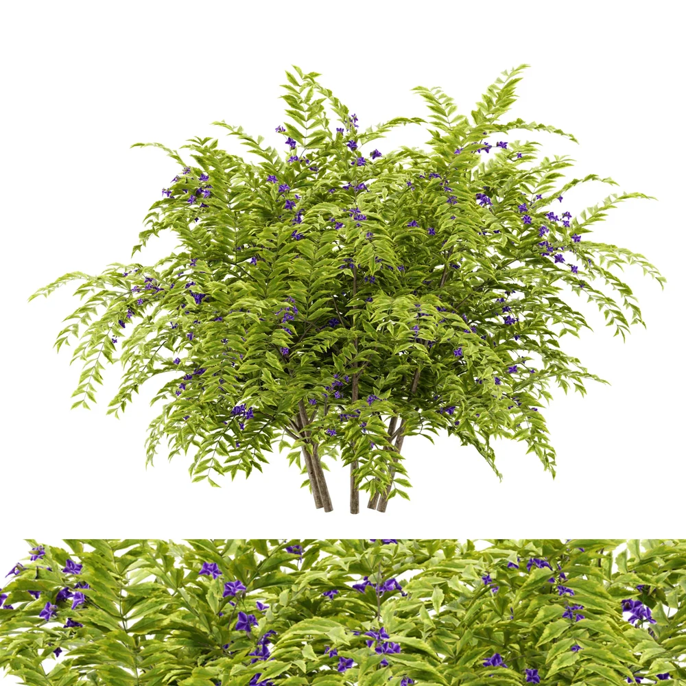Flower Bush Plant