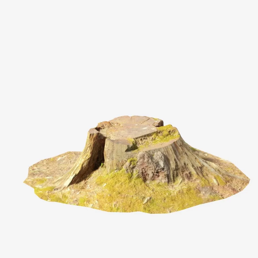 Tree Stump Sawed Pbr Scan 03
