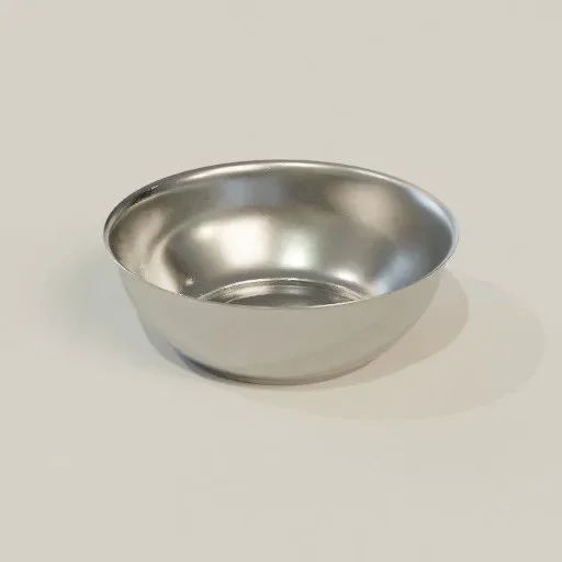 Stainless Steel Bowl