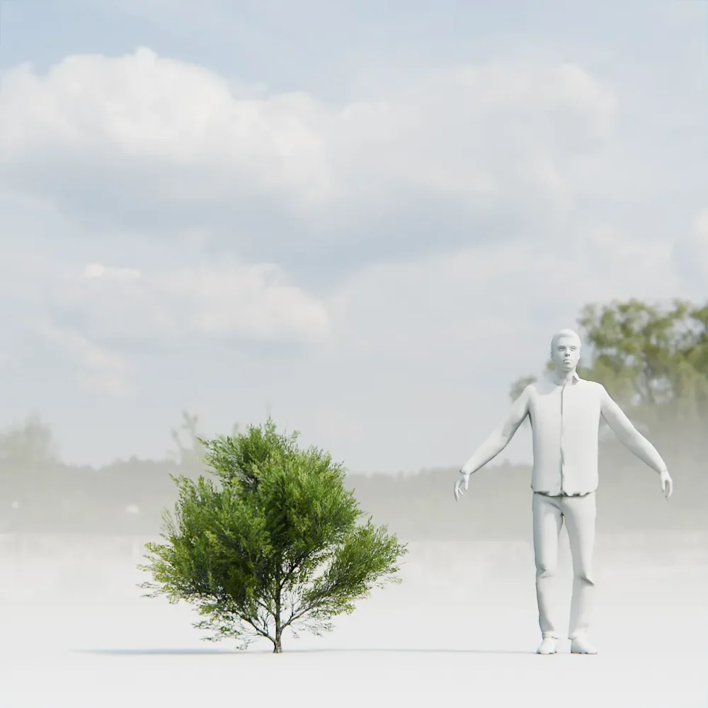 Bush Lowpoly Animated