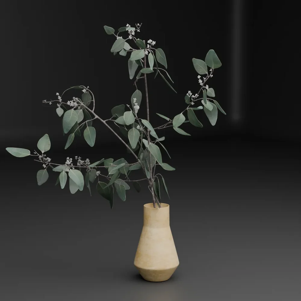 Eucalyptus In Vase