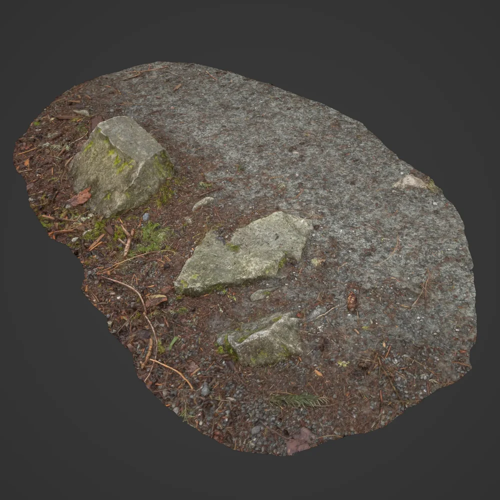 Ground With Rocks In Forest