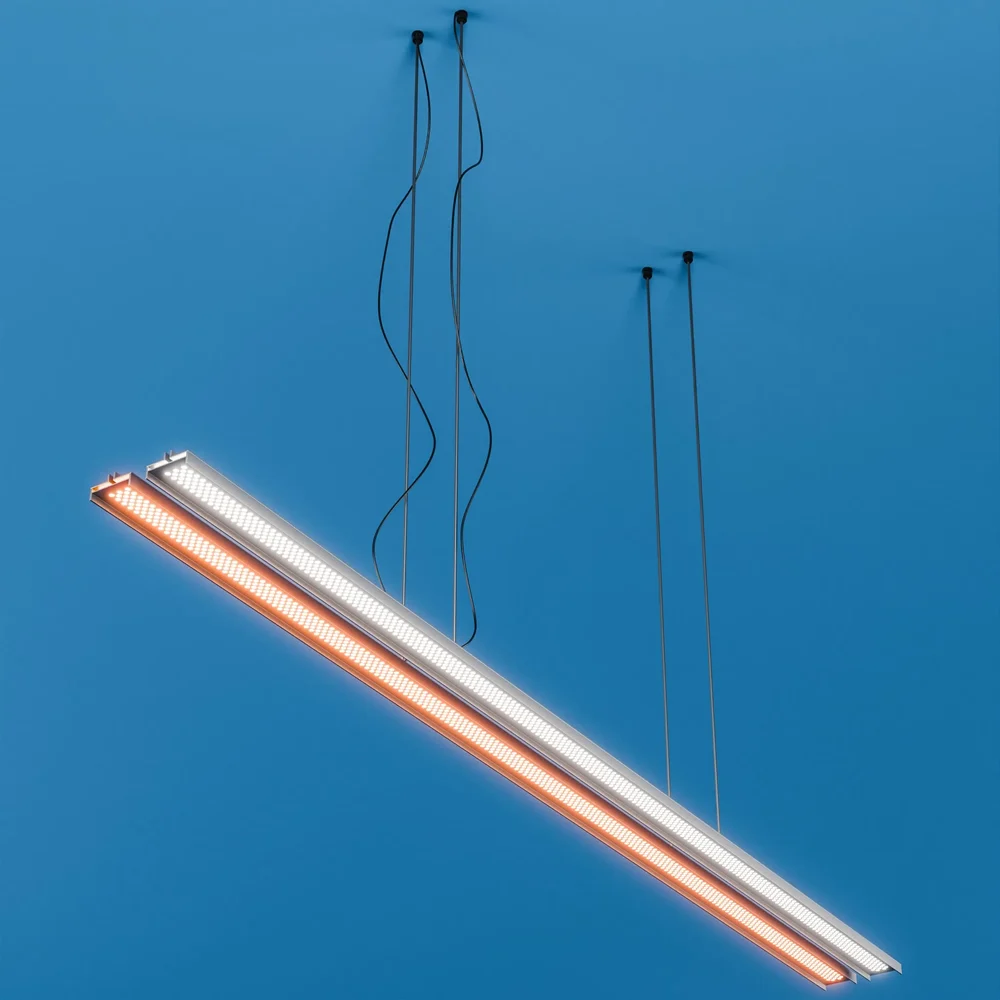 Ceiling Light