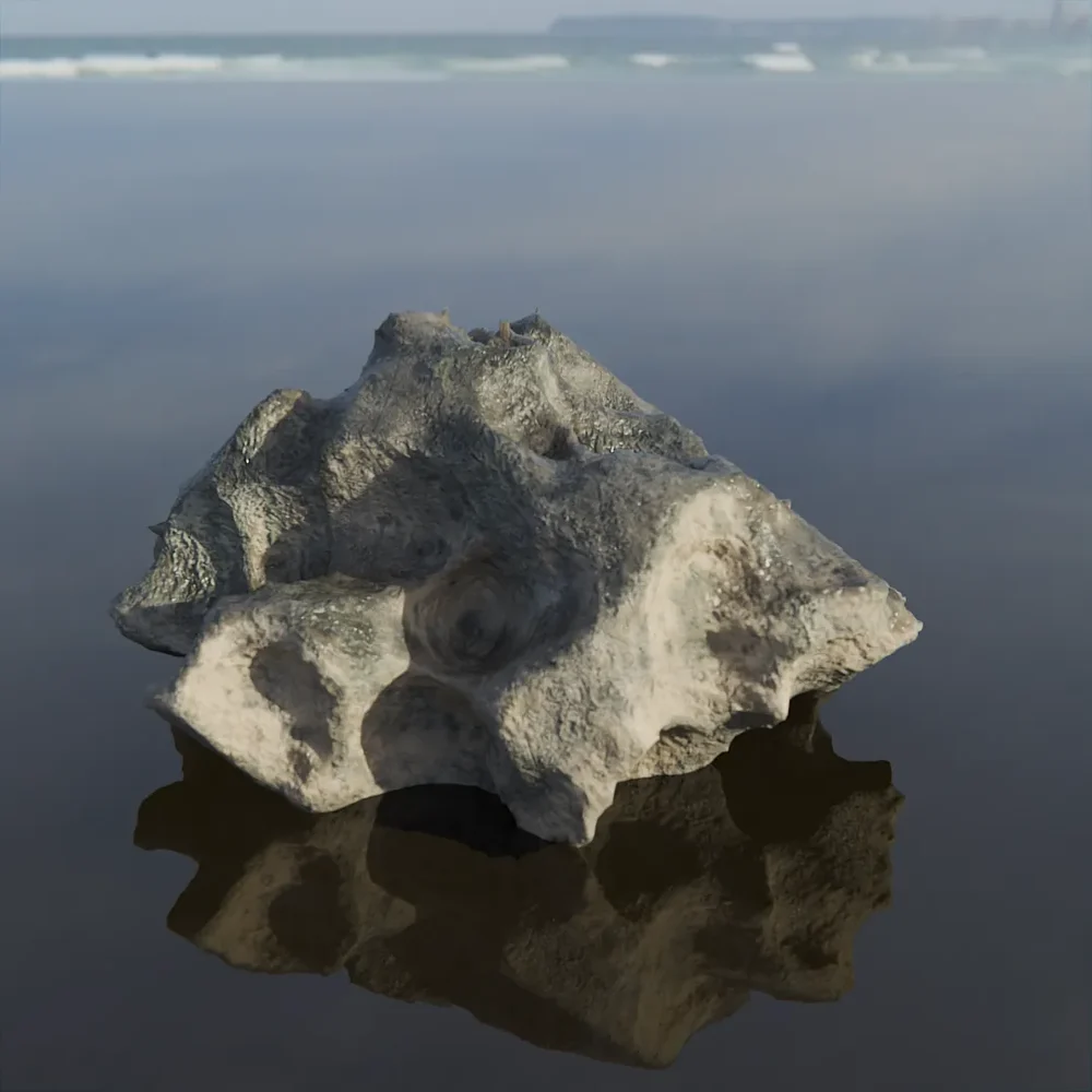 Rock Beach