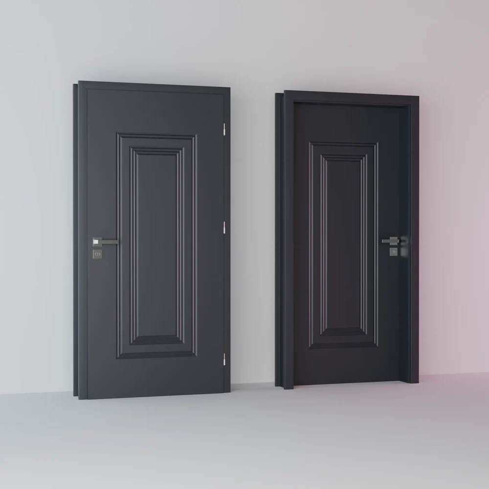 Modern Door