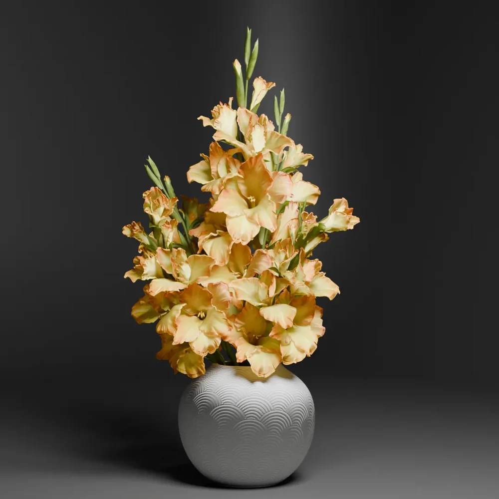 Yellow Gladiolus In Ceramic Vase