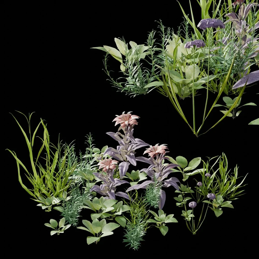 Garden And Yard Plants