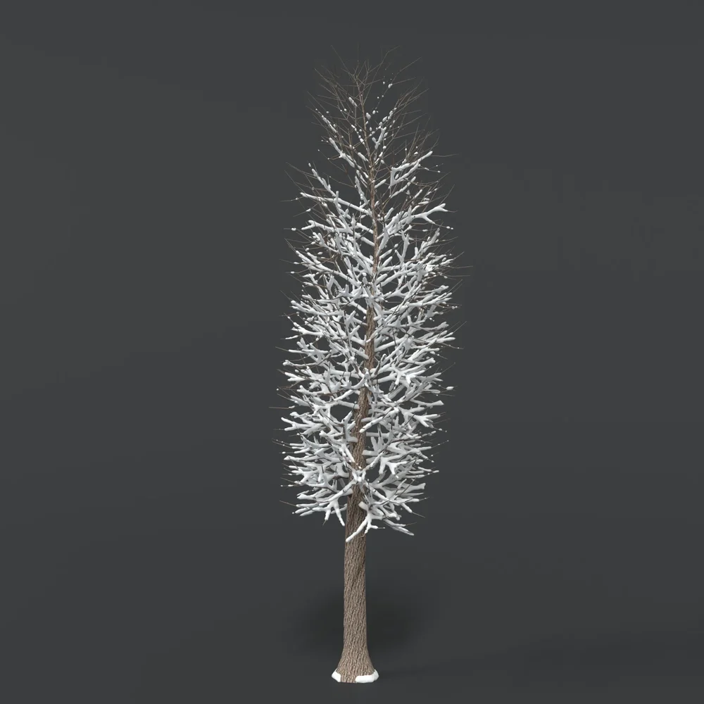 Tree With Snow