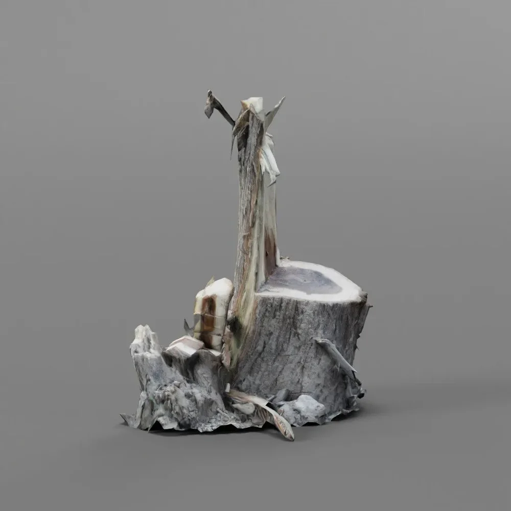 Cutted Tree Trunk