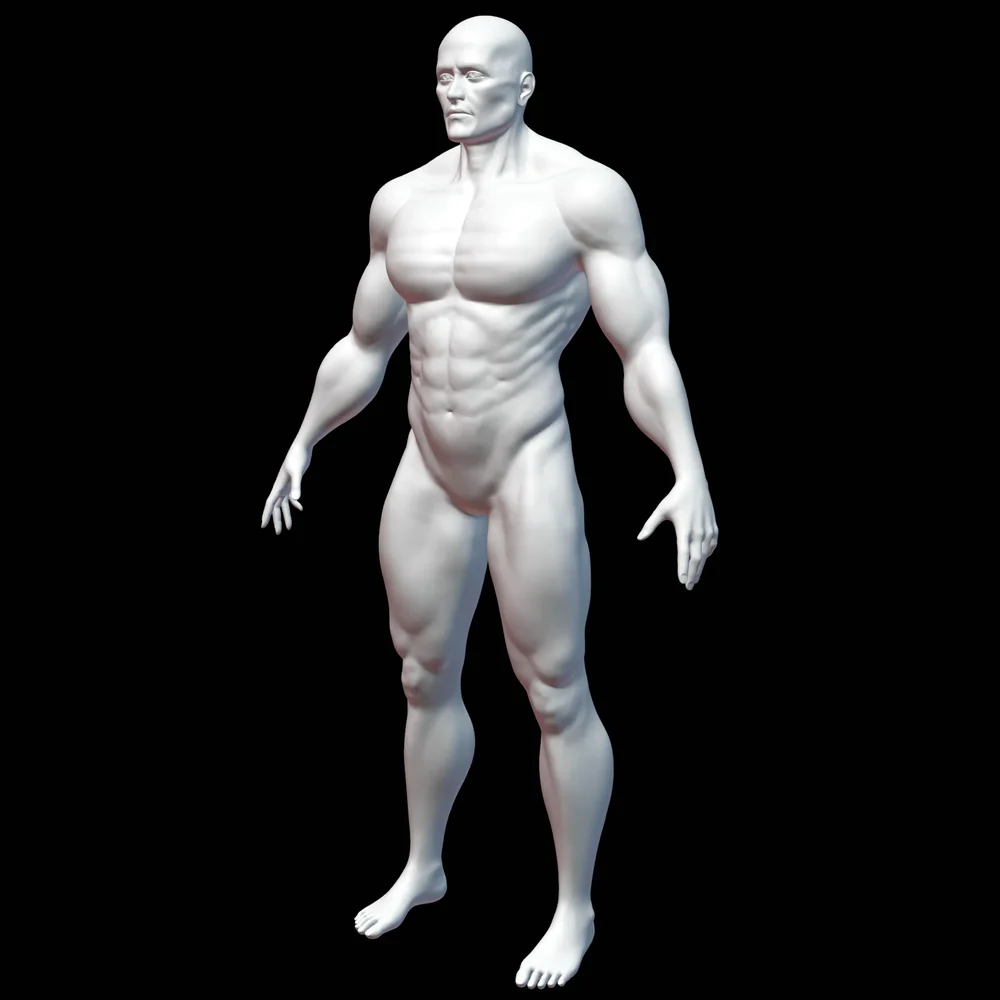 Male Base Mesh - Shredded