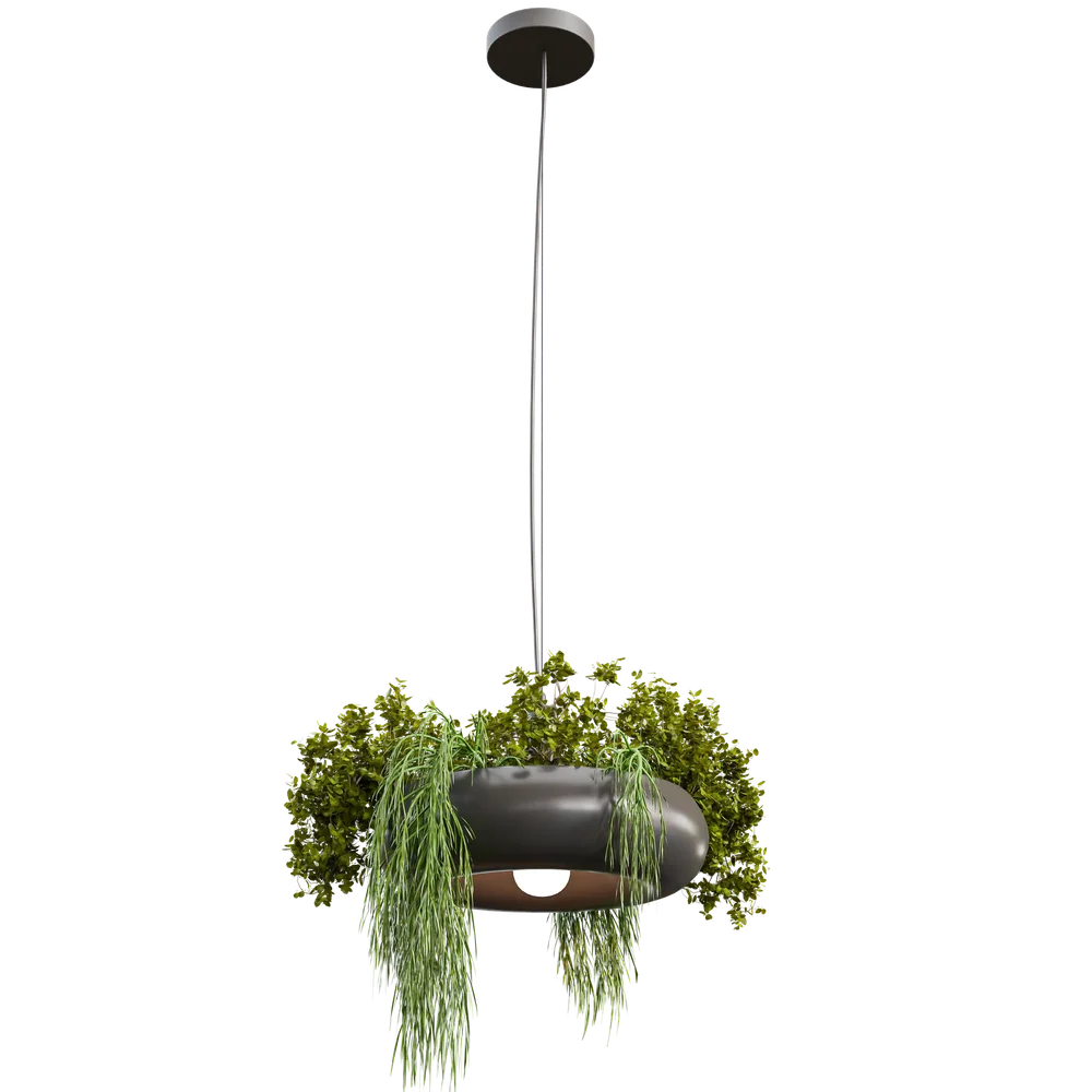 Pendant Light With Plants B