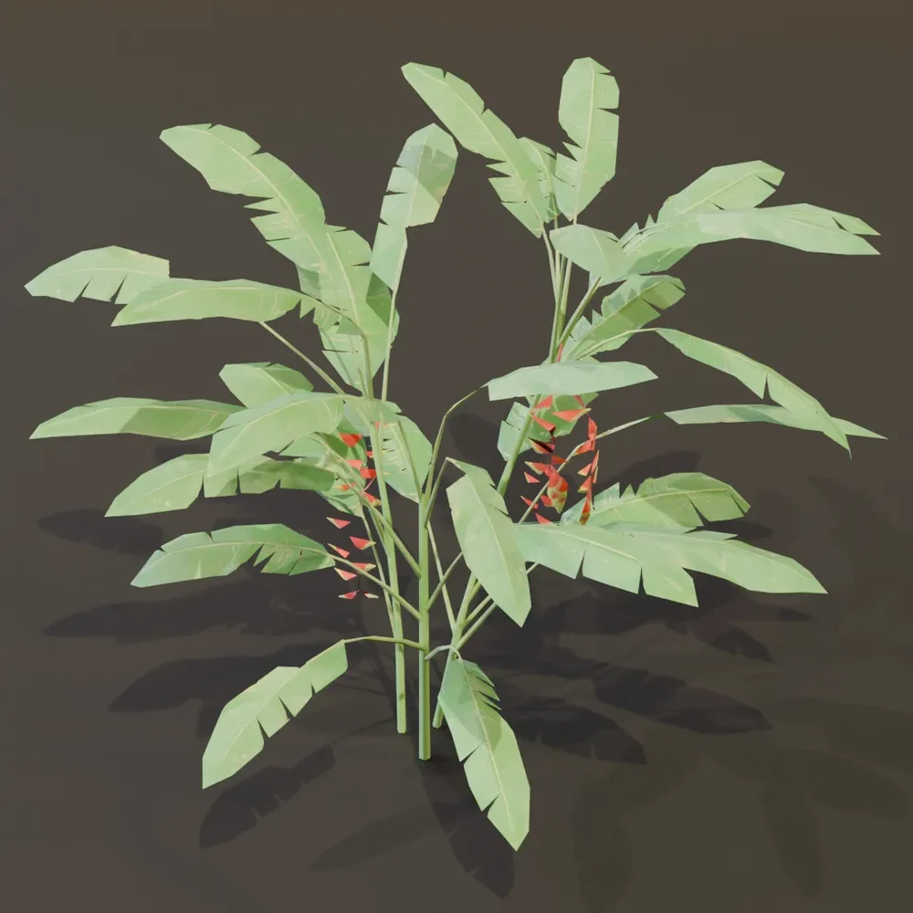 Heliconia Lobster Claw Plant Large
