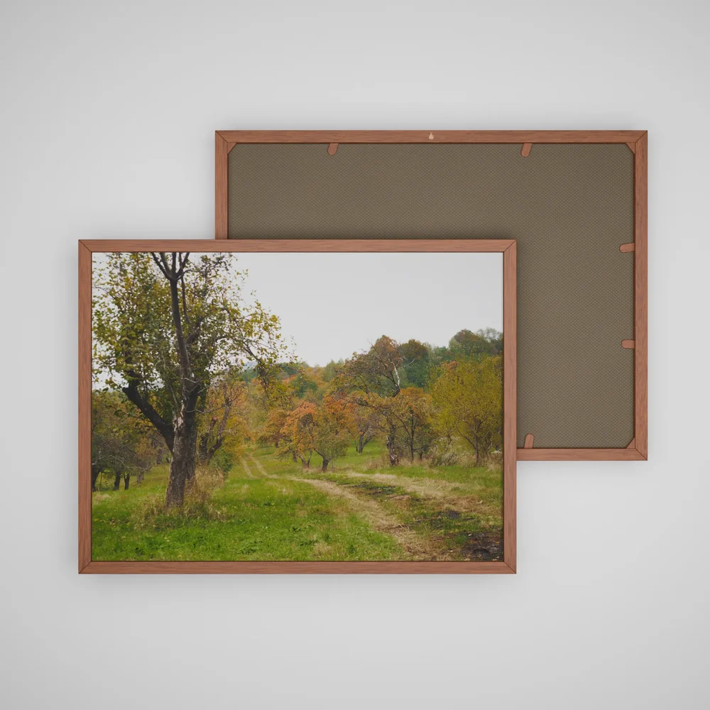 Autumn Colection Picture