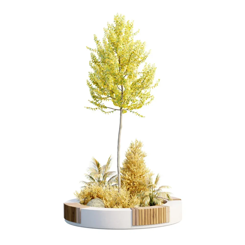 Tree Urban Set For Garden Collection