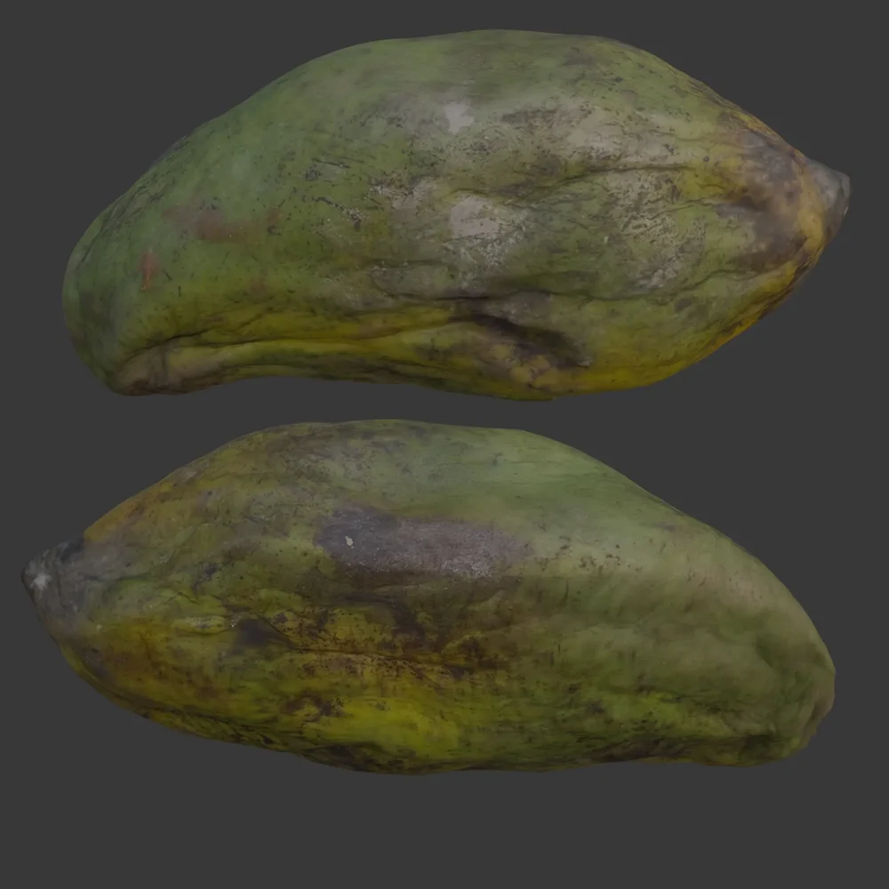 Mango Scanned Green