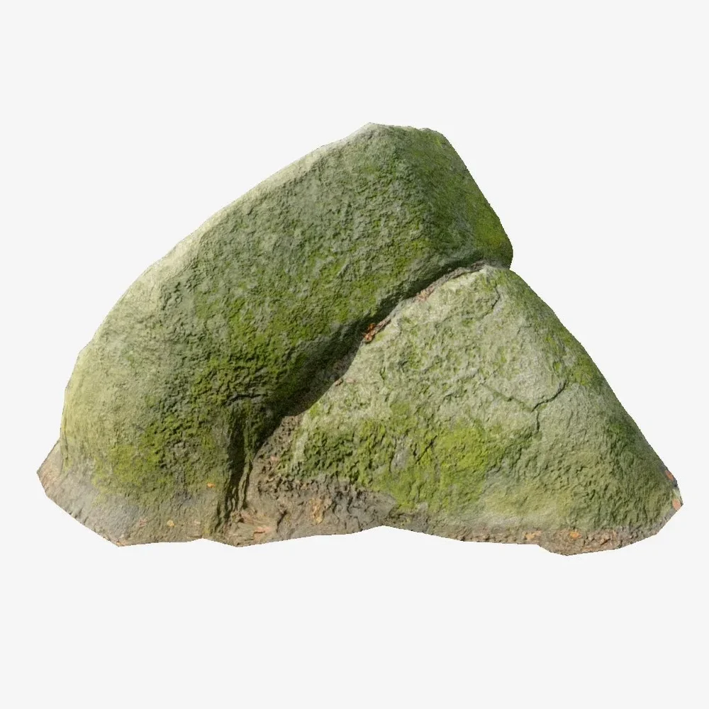 Rock Moss Forest Pbr Scan Part 3.2