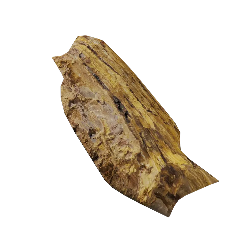 Tree Bark Debris