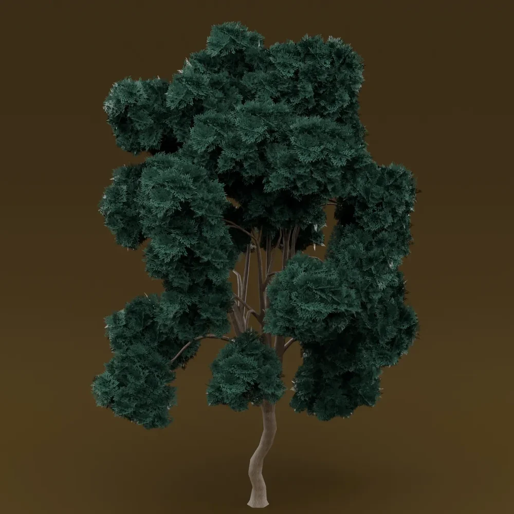 Teal Leaved Tree