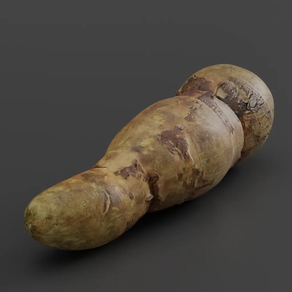 Yucca02