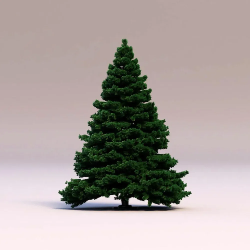 Christmas Tree - Not Decorated