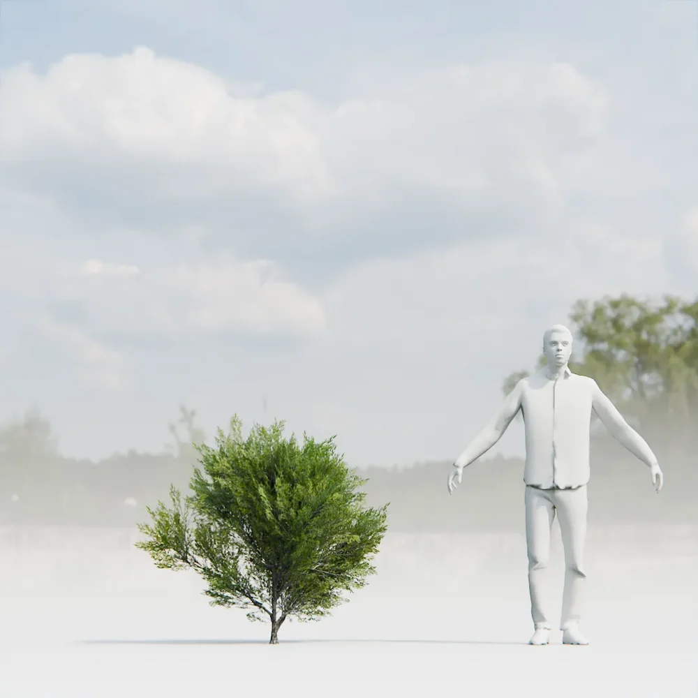 Bush Lowpoly Animated