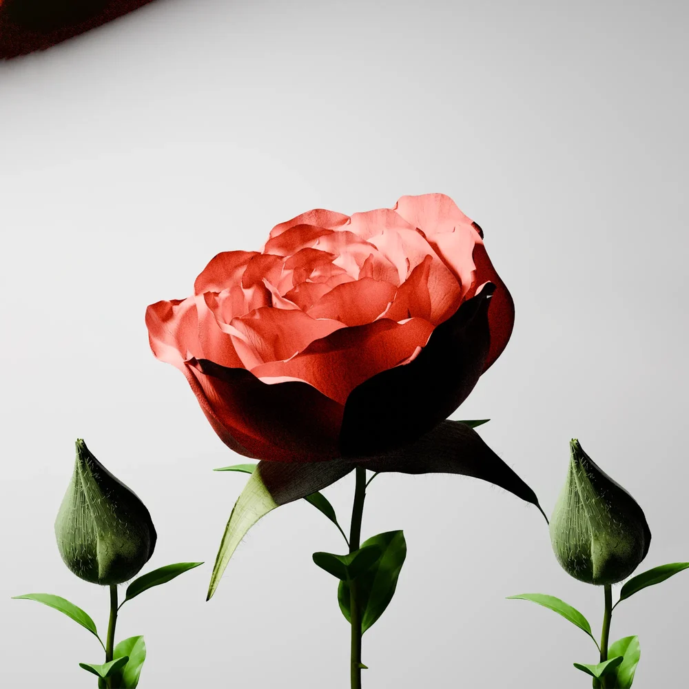 model: Animated Rose Geo Nodes