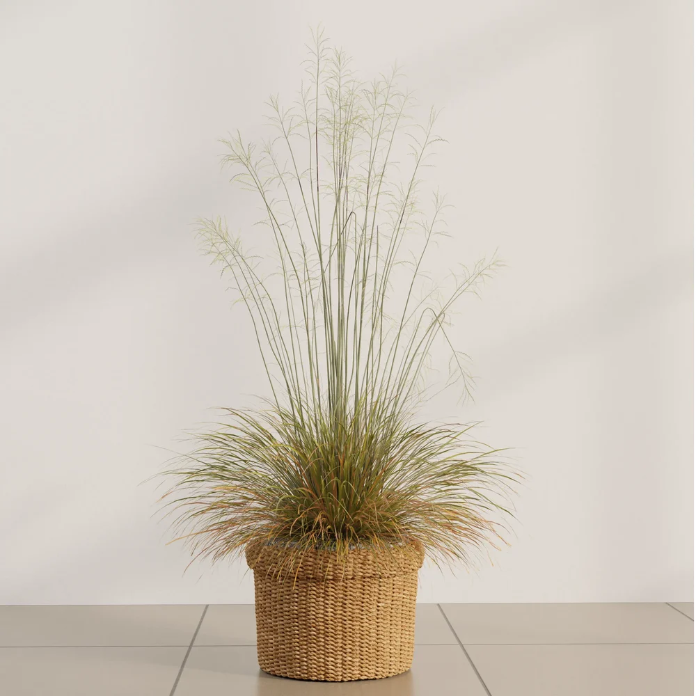 Breeze Grass Basket