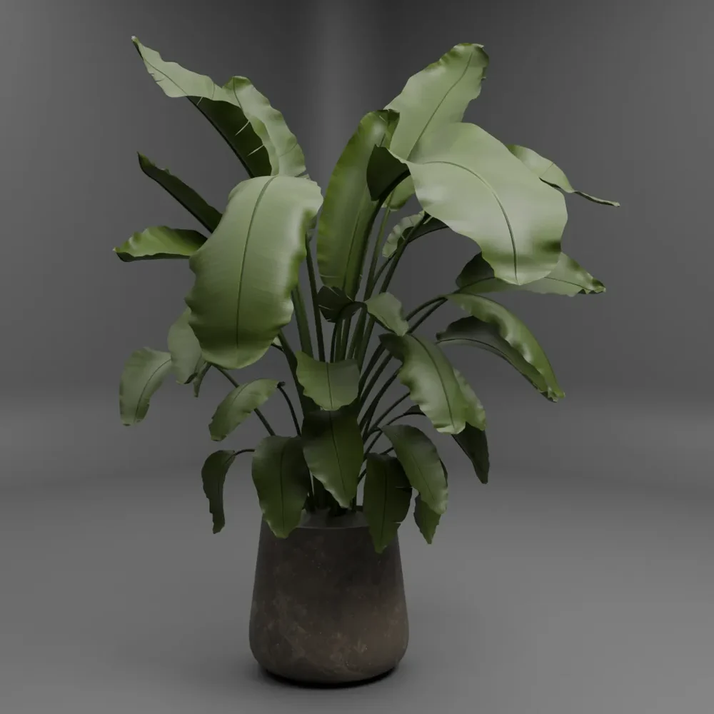 Tropical Potted Plant