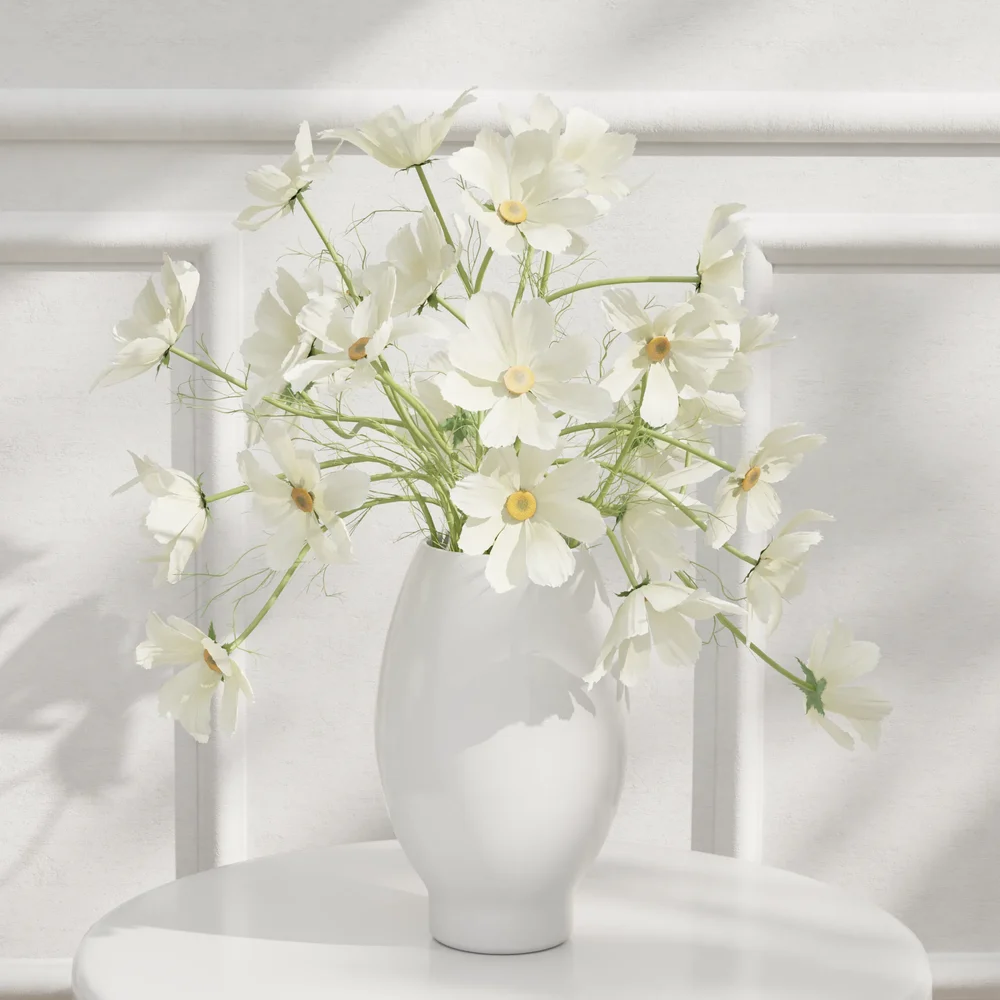White Cosmos Flower